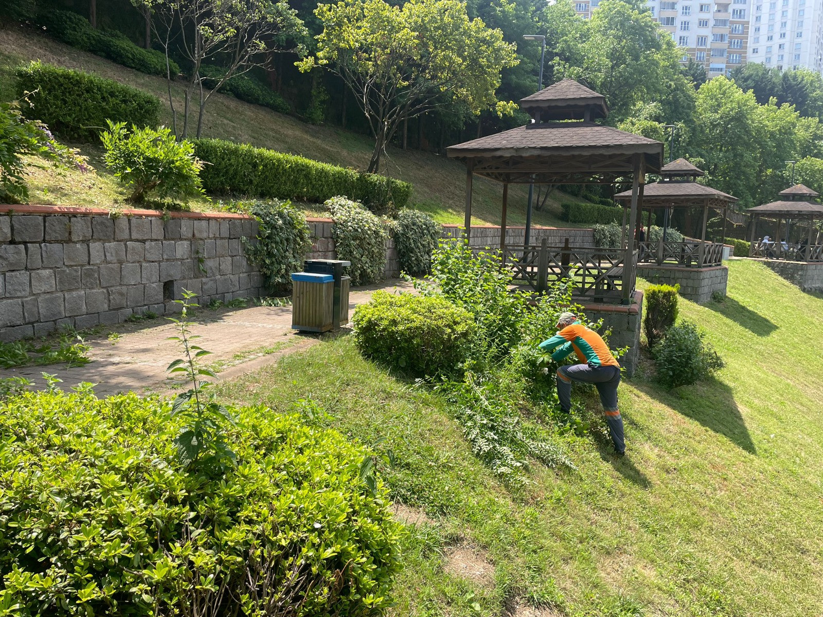 Trabzon Büyükşehir Belediyesi’nden Şehre Estetik Dokunuş