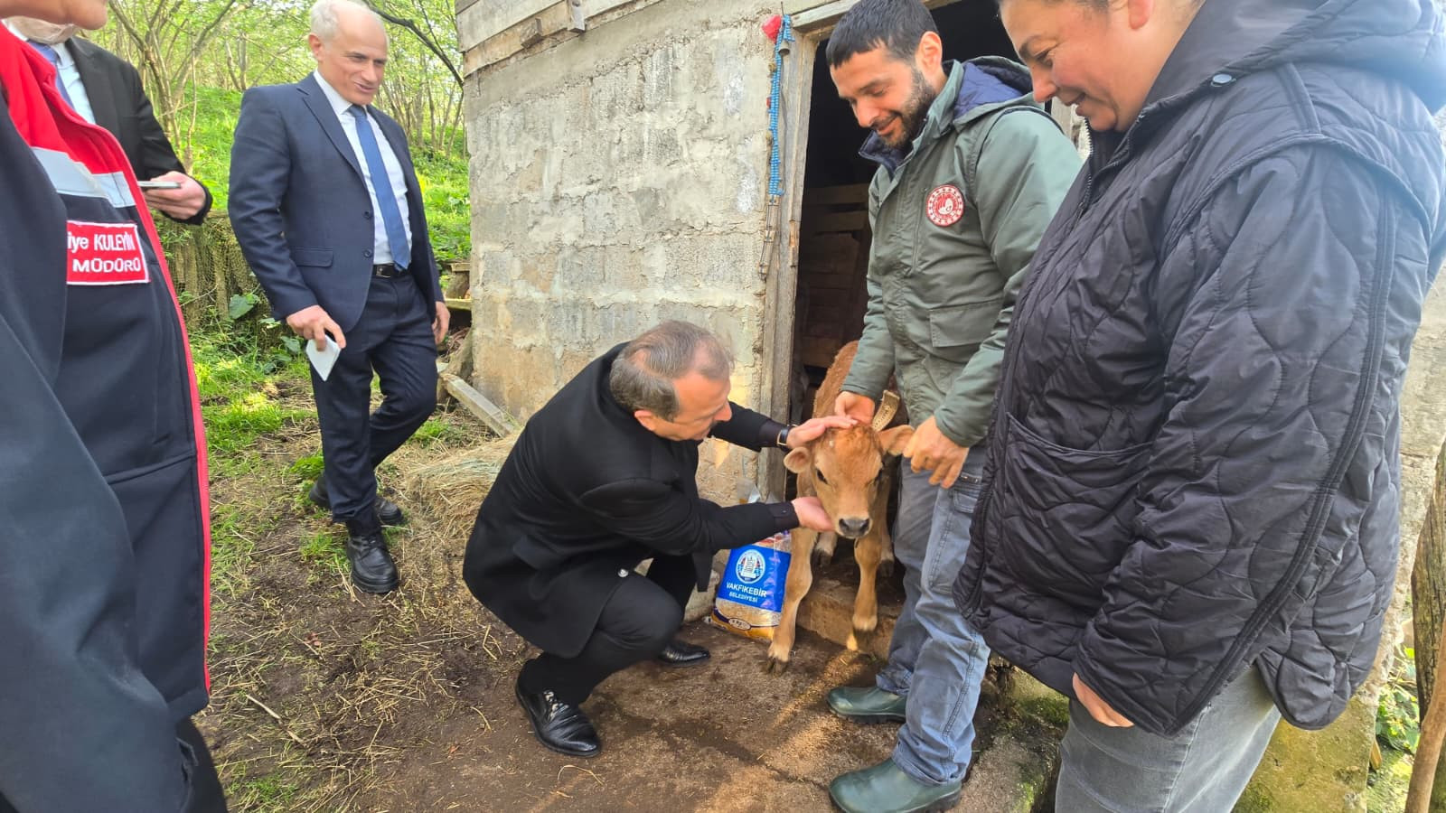 İlk Buzağılar Dünyaya Geldi
