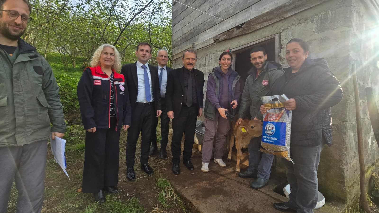 İlk Buzağılar Dünyaya Geldi