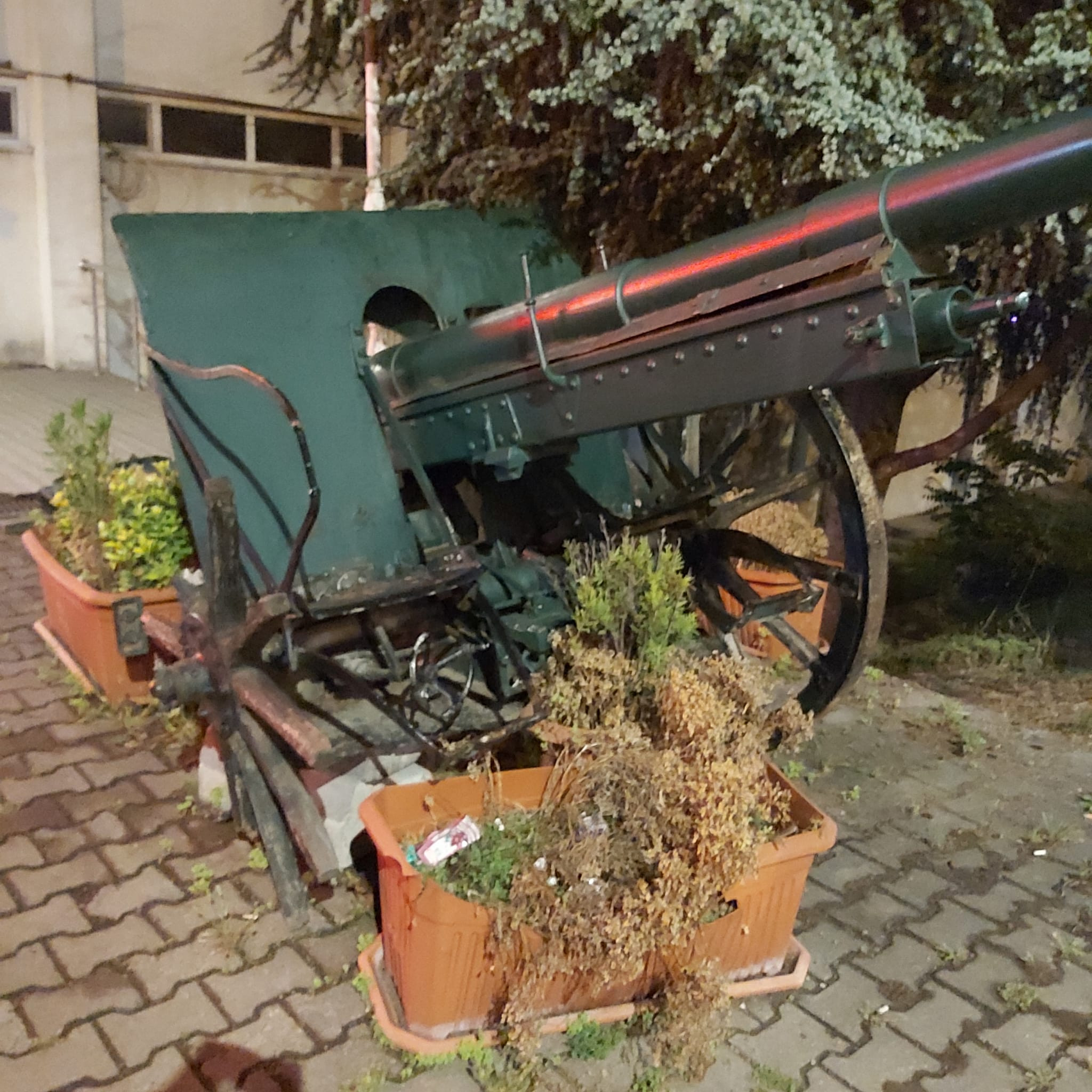 Tarihi Top Çürümeye Terk Edildi !