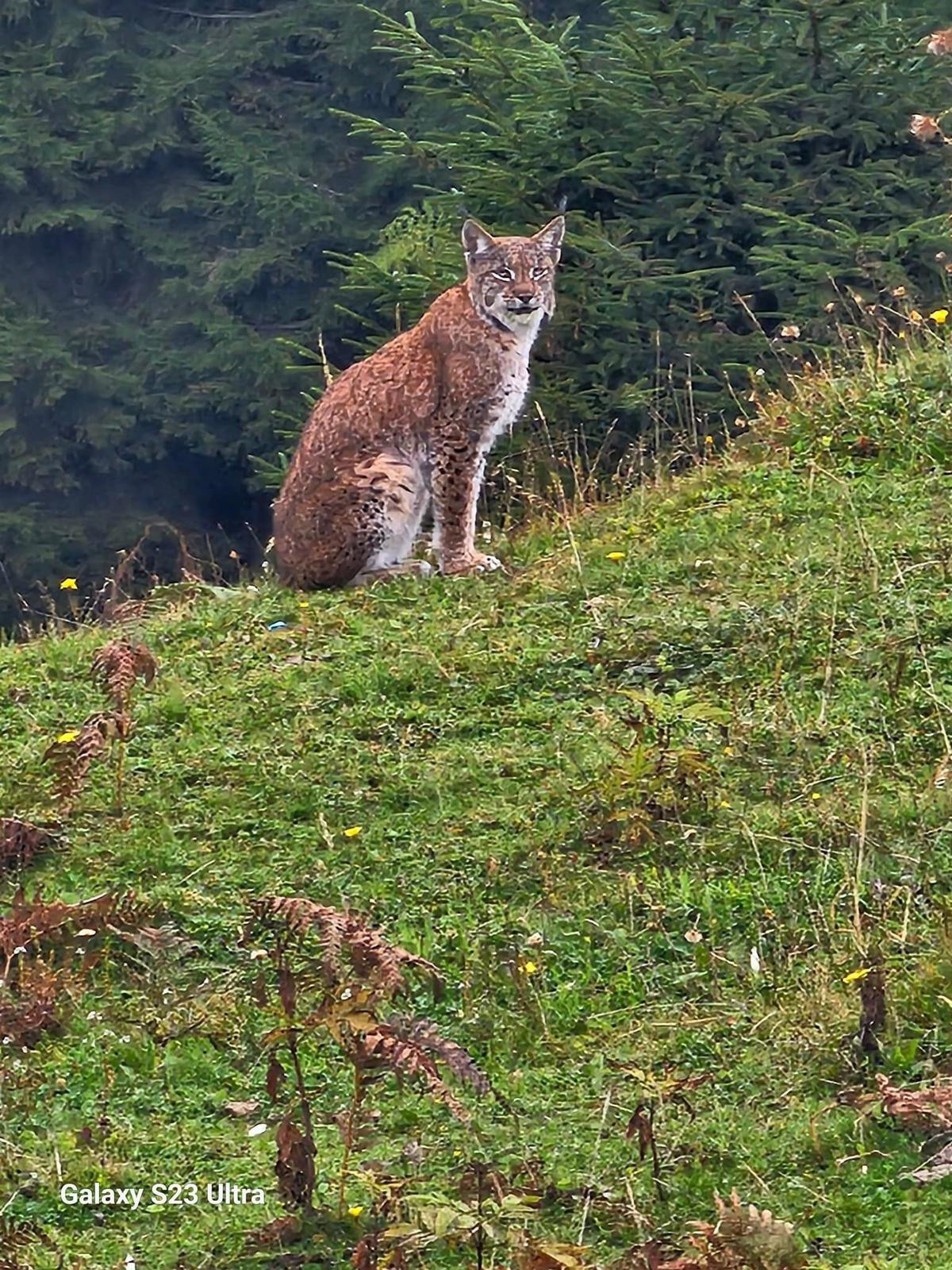Bölgede İlk Kez Göründü