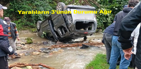 65 Plakalı Araç Dereye Uçtu!