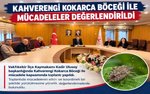 Kahverengi Kokarca Böceği ile Etkin Mücadele!