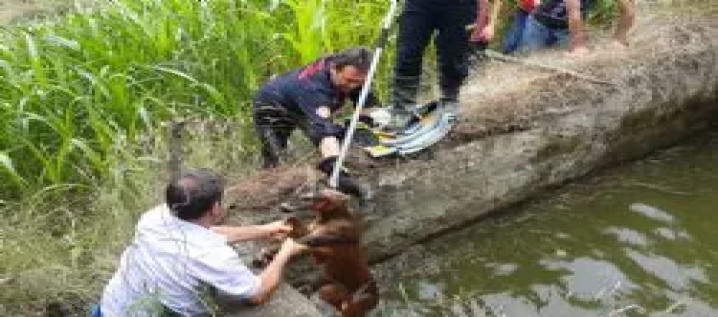 Tercih Fuarında Ücretsiz Danışma   Hizmeti