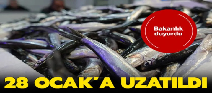 Hamsi avı yasağı 28 Ocak'a uzatıldı