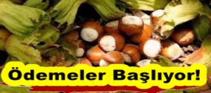 Beklenen Ödemeler Başlıyor!