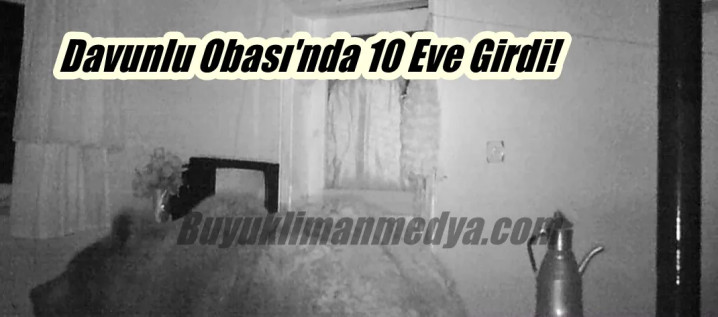 Evleri Talan Eden Ayı Foto Kapanına yakalandı!