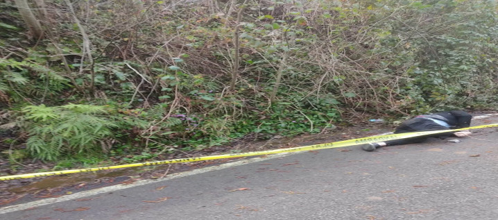 Yol Kenarında Ölü Bulundu