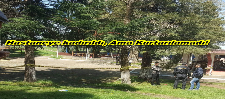 İlçe Cinayetle sarsıldı!