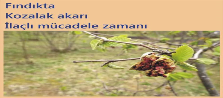 En Etkili Mücadele Mekanik Mücadeledir!