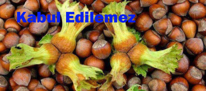 Açıklanan Fındık Fiyatı Tepki Çekti, TMMOB "Kabul edilemez"